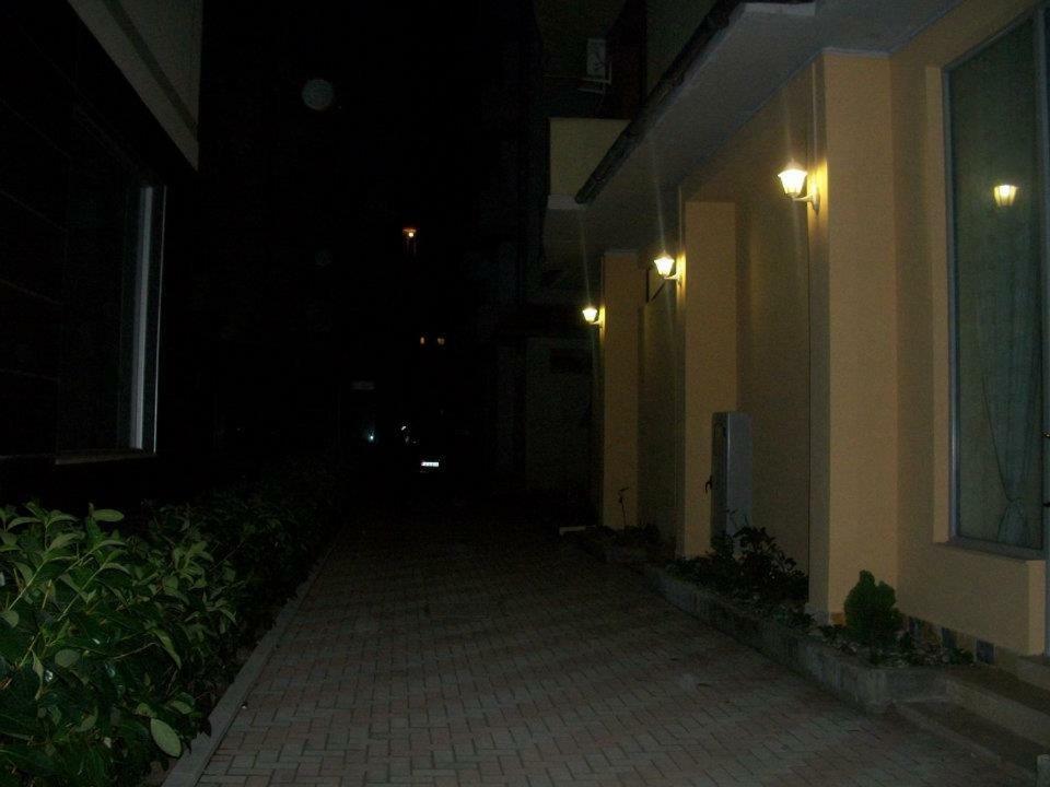 Arnima *